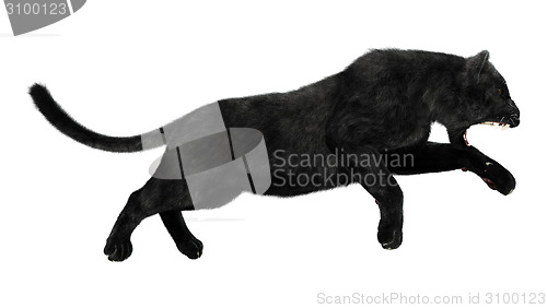 Image of Black Panther