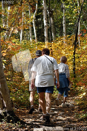 Image of Family Hiking