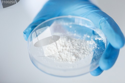 Image of close up of scientist holding petri dish in lab