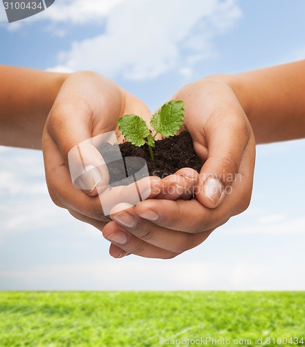 Image of woman hands holding plant in soil