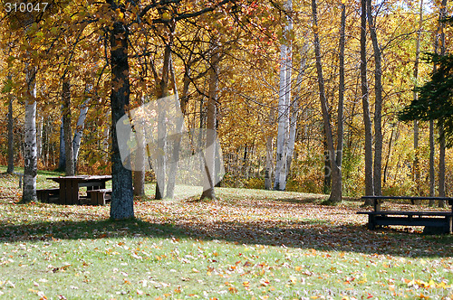 Image of Rest Area in Fall