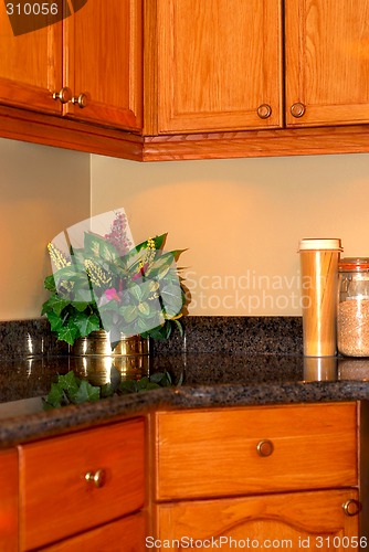 Image of Kitchen interior