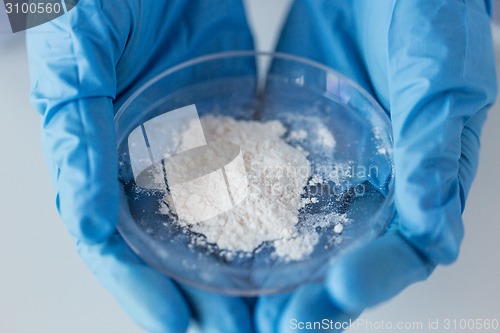 Image of close up of scientist holding petri dish in lab