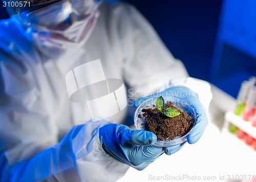 Image of close up of scientist with plant and soil in lab
