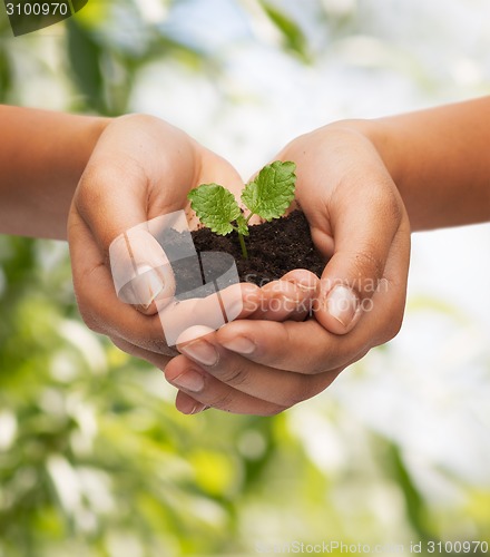 Image of woman hands holding plant in soil