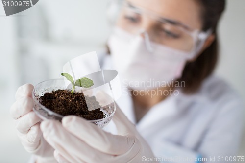 Image of close up of scientist with plant and soil in lab