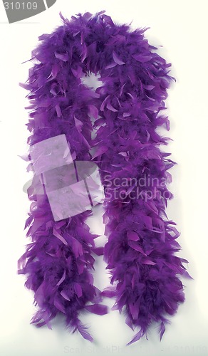 Image of feather boas