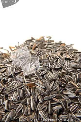 Image of sunflower seeds as nice background