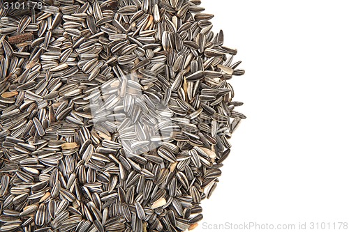 Image of sunflower seeds as nice background