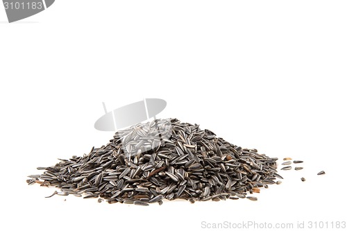 Image of sunflower seeds 