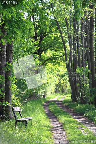 Image of bench in the spring park 