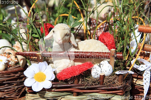 Image of small sheep as nice easter background