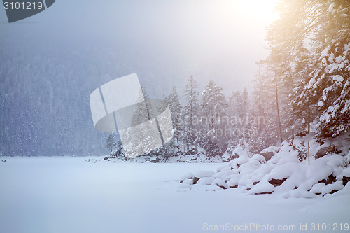 Image of Eibsee winter