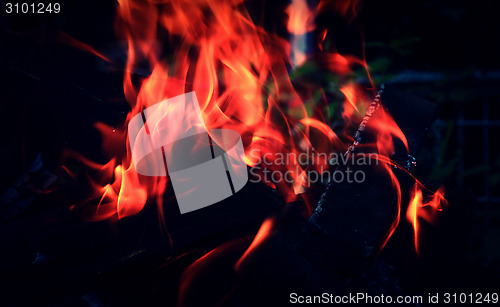 Image of dry logs are burning at the stake