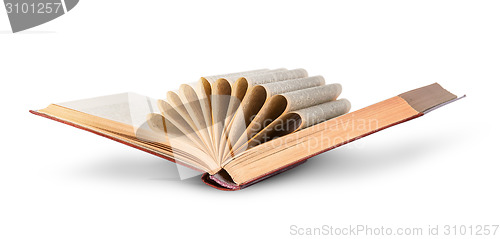 Image of Ajar old book with curled pages