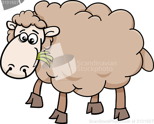 Image of sheep farm animal cartoon illustration