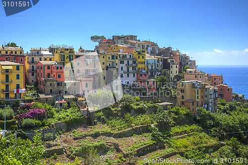 Image of Corniglia - Cinque Terre,Italy