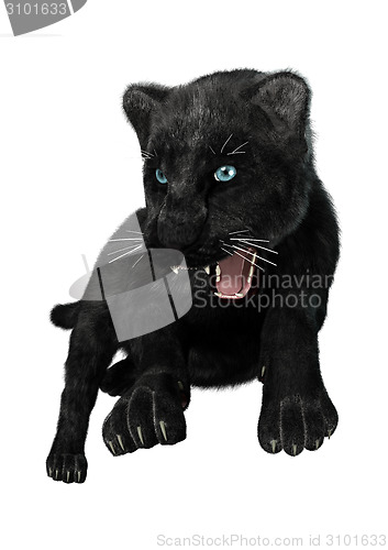 Image of Hunting Black Panther