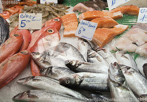 Image of Various fresh fish on ice