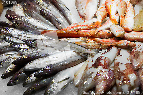 Image of Various fresh fish on ice