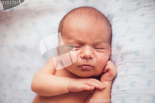 Image of Sweet newborn baby