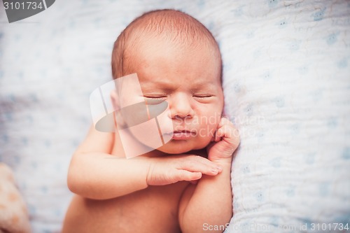 Image of Sweet newborn baby