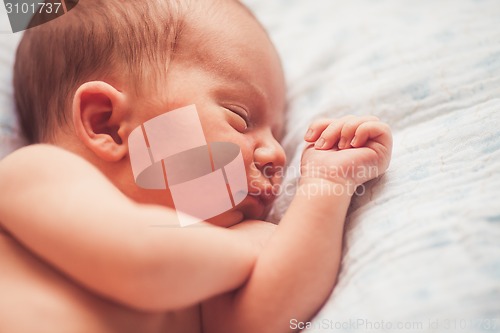 Image of Sweet newborn baby