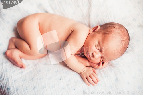 Image of Sweet newborn baby