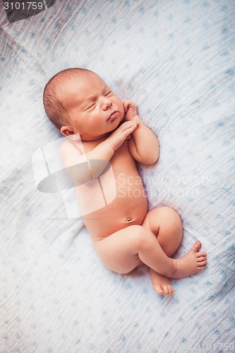 Image of Sweet newborn baby