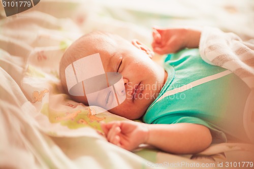 Image of Sweet newborn baby