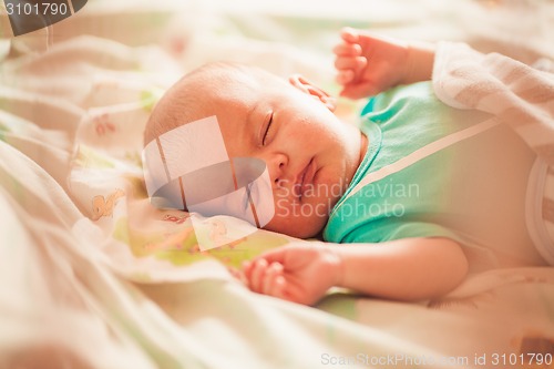 Image of Sweet newborn baby