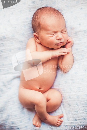 Image of Sweet newborn baby