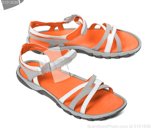 Image of Pair of summer sandals on white background