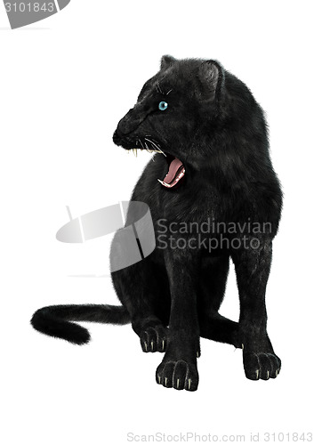 Image of Black Panther