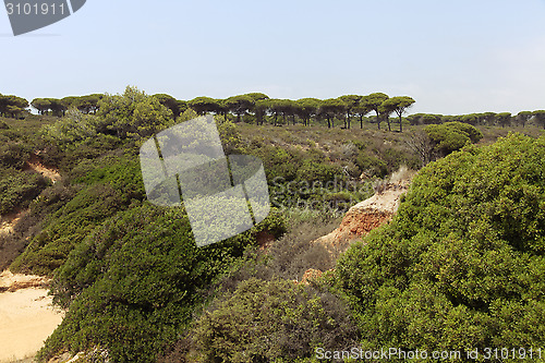 Image of Wilderness in Spain