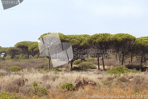 Image of Wilderness in Spain