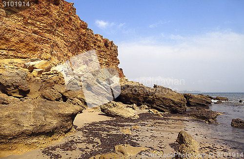 Image of Sea coast in the ebb