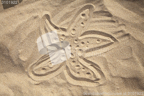 Image of Starfish drawn in the sand