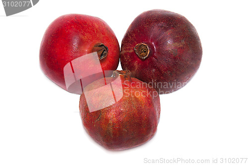 Image of pomegranate fruits on white background
