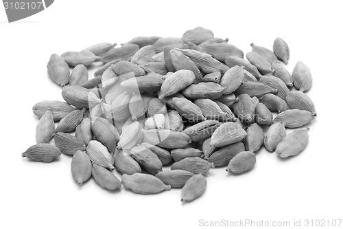 Image of Whole cardamom pods