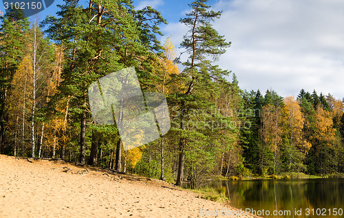 Image of Beautiful autumn landscape with forest Lake  