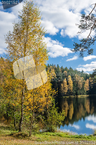 Image of Beautiful autumn landscape with forest Lake  