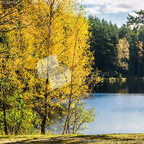 Image of Beautiful autumn landscape with forest Lake  