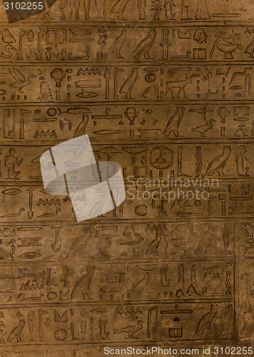 Image of Hieroglyph