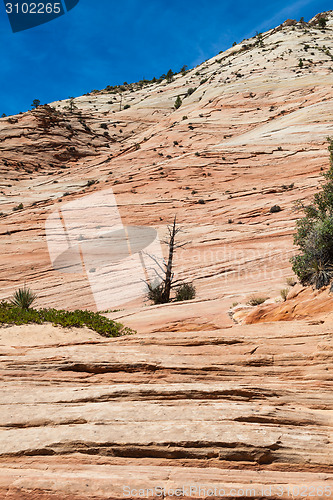 Image of Zion National Park