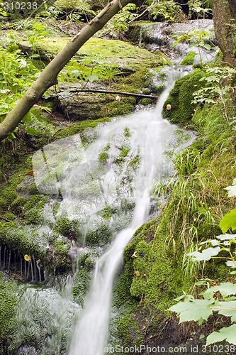 Image of Stream in the Green