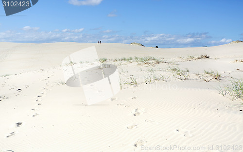 Image of Dark Point Sand Dunes Australia