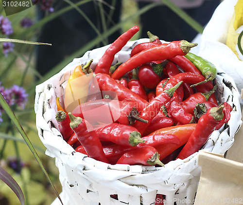 Image of Chili pepper