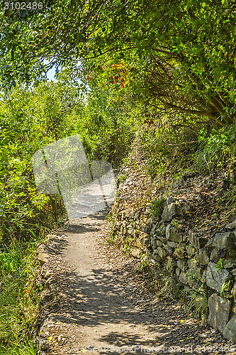 Image of Footpath in Cinque Terre National Park