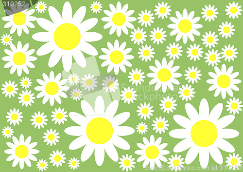 Image of Floral Background